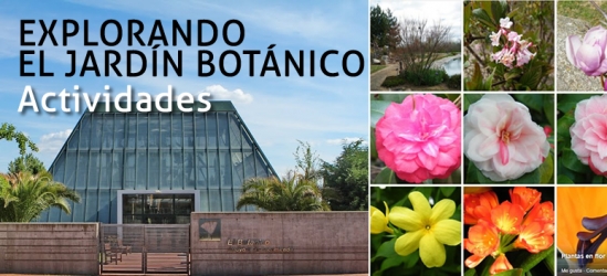 Jardín Botánico