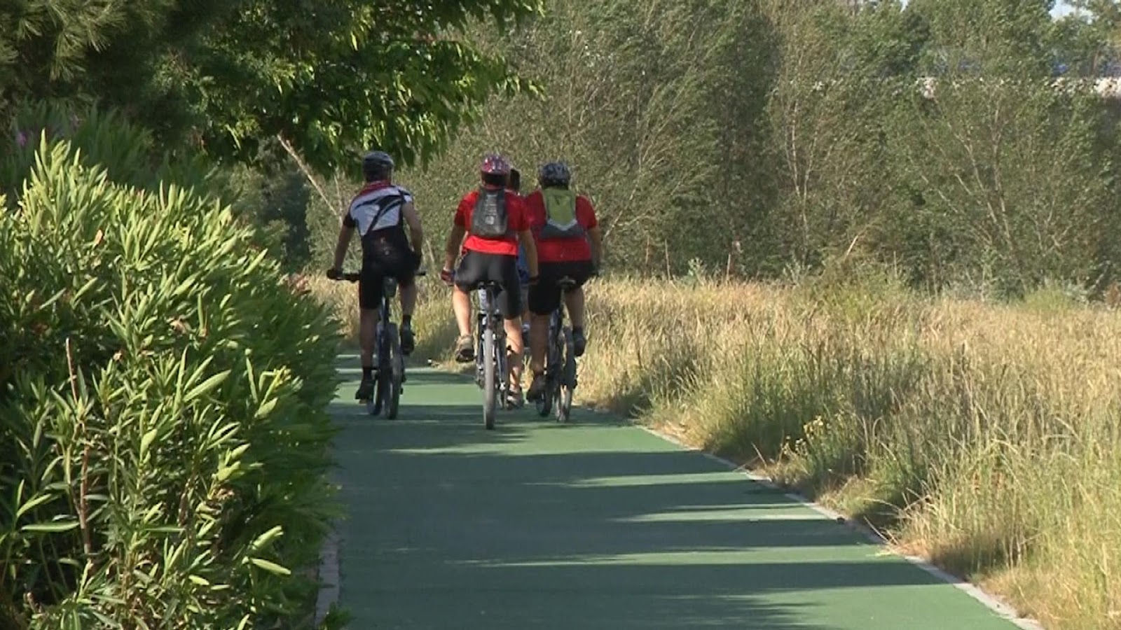 CARRIL BICI