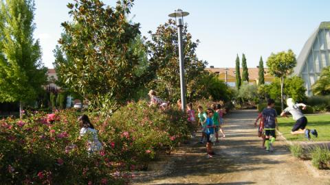 Jardín Botánico