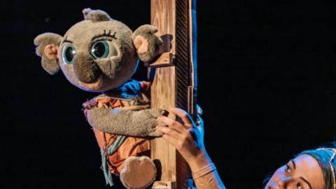 Festuc Teatro “BUNJI, La Pequeña Koala”