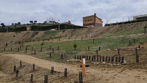El Ayuntamiento actúa contra la erosión que provoca la lluvia en el parque Estela Domínguez