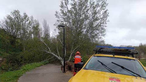 Protección Civil Arroyo busca voluntarios