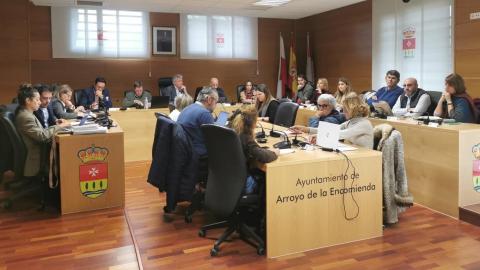 Pleno del Ayuntamiento de Arroyo de la Encomienda.