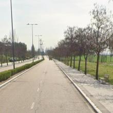 La Concejalía de Infraestructuras destina 300.000 euros a la rehabilitación de aceras y alcorques en avenida de Aranzana, carretera de Ciguñuela y calle Almazara