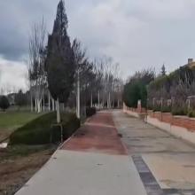 El Ayuntamiento repara las aceras de la calle Almazara, avenida de Aranzana y carretera de Ciguñuela