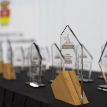 I Premios Arroyo 100% Deporte