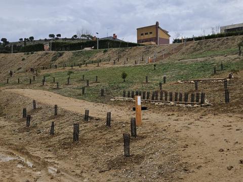 El Ayuntamiento actúa contra la erosión que provoca la lluvia en el parque Estela Domínguez