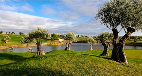 El Ayuntamiento adquiere en propiedad el campo de golf de Sotoverde