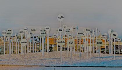 Arroyo en Imágenes